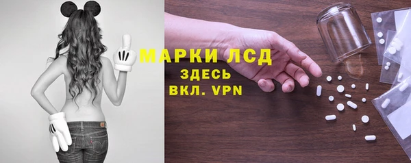 гашик Арсеньев