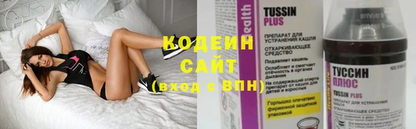 ГАЛЛЮЦИНОГЕННЫЕ ГРИБЫ Аркадак