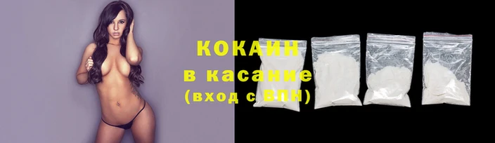 гашик Арсеньев