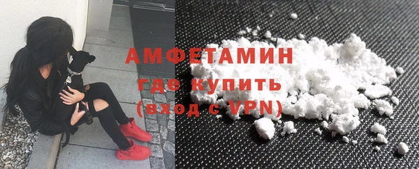 ГАЛЛЮЦИНОГЕННЫЕ ГРИБЫ Аркадак