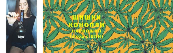 гашик Арсеньев