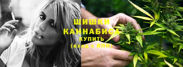 ГАЛЛЮЦИНОГЕННЫЕ ГРИБЫ Аркадак