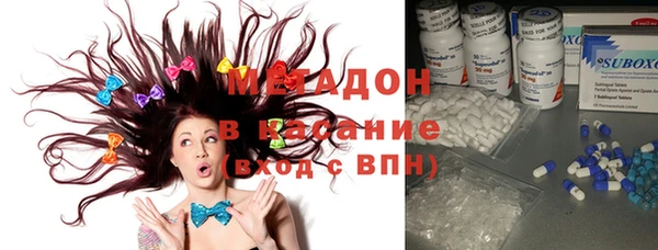 ГАЛЛЮЦИНОГЕННЫЕ ГРИБЫ Аркадак
