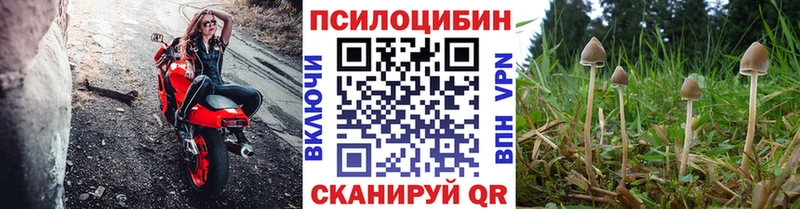 Галлюциногенные грибы мухоморы  Шатура 